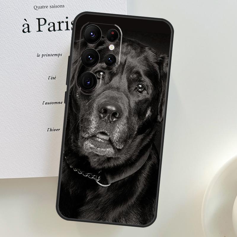 Labrador Puppy Dog Case For Samsung Galaxy S26 Ultra S25 S23 S22 S21 S24 Ultra S10 S20 Plus S25 FE Phone Cover
