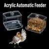 1pc Clear Acrylic Birds Feeder Box Automatic Feeder Anti-turnover Food Dispenser Container Small Pet Birds Supplies