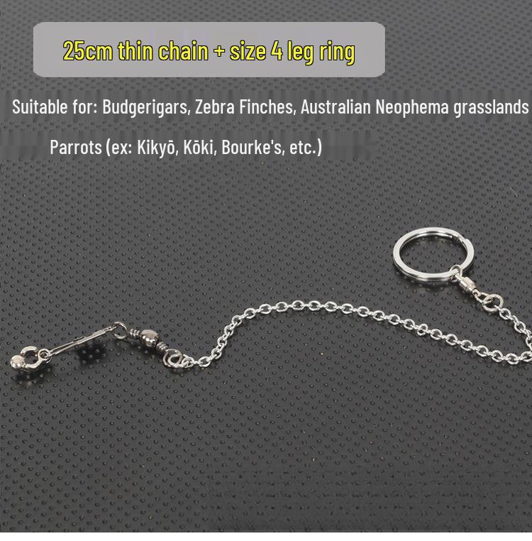 Stainless Steel Bird Stand with Ankle Chain for Large Parrots and Cockatiels