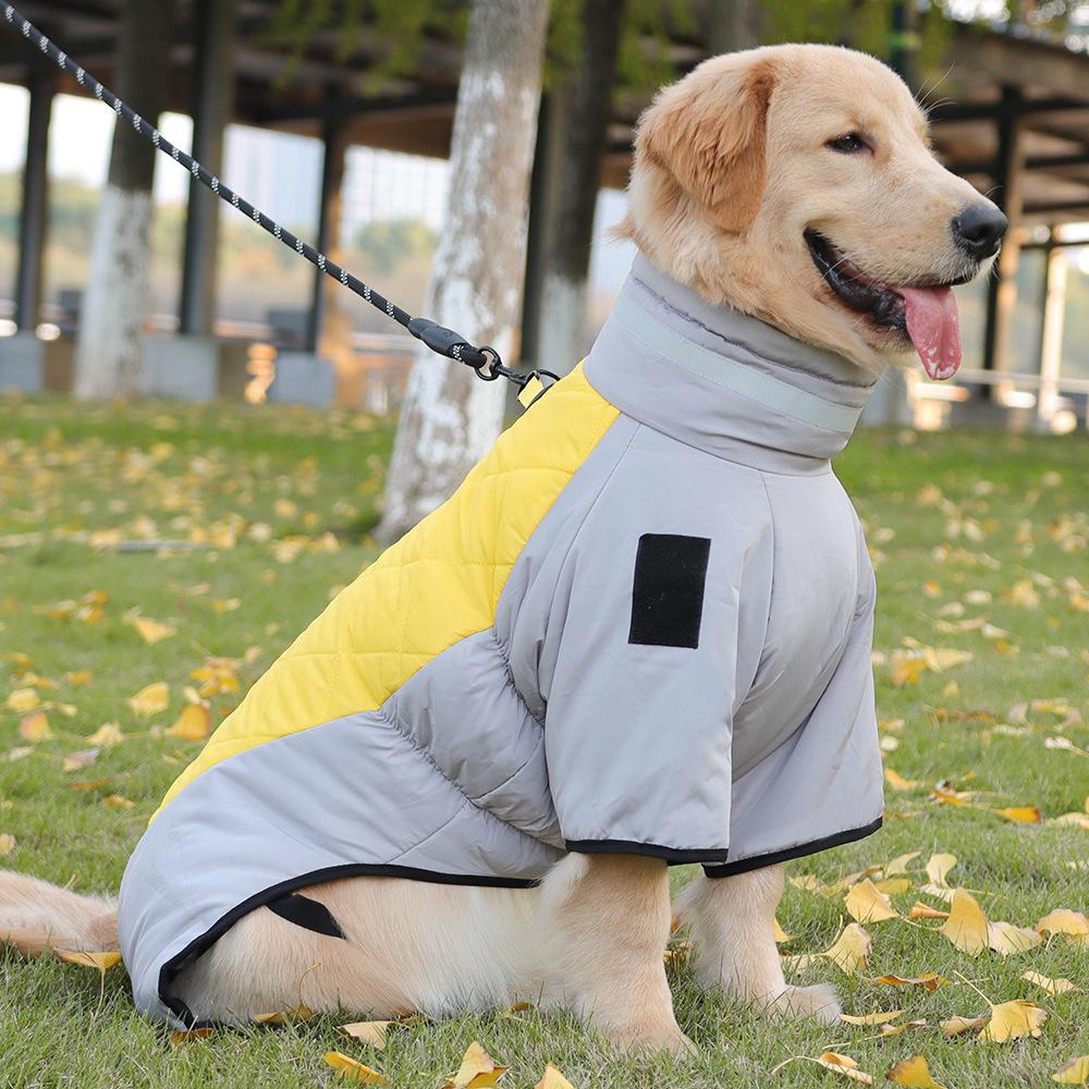 Tuta Impermeabile Salopette per Cani Labrador Retriever Dorato per Cani Medi Grandi Cappotto Invernale Caldo in Miscela di Cotone per Cani Grandi