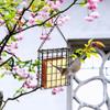 Metal Wire Suet Ball Bird Feeder Square Hanging Bird Feeder Bird Food Container  Tree Hanging