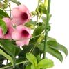 4pcs/set Plant Trellis Decorative Climbing Bracket Gardening Accessory for Garden Yard Flower Plant Gardening Supplies