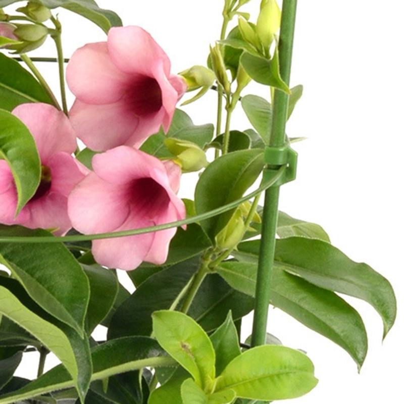 4pcs/set Plant Trellis Decorative Climbing Bracket Gardening Accessory for Garden Yard Flower Plant Gardening Supplies