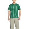 Nike Dri-Fit Zhejiang Team Home Fan Version Quick-Dry Crew Neck Short Sleeve Football Shirt Men tops IQ0496-341