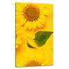 GLASS PLATE BOARD PANEL TABLETOP 30x52 FLOWER