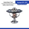 Thermostat Core ETX Parts for Howo GTL Foton Engine