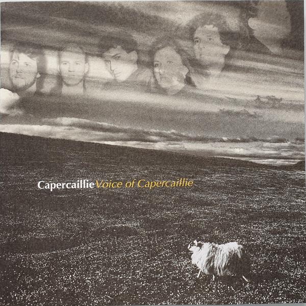 CD CAPERCAILLIE - Voice of Copperkely  VICP5766 Victor 1996 Japan World Music Used