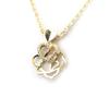 Les Trésors De Lily [M8900] - Gold Plated Necklace 'Rosa Romantica' Golden White (love) - 20x15 Mm