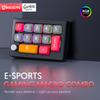 13 Key Wired Macro Programmable Mini Gaming Keyboard Fully Hot Swappable Programming KeyPad 12 RGB Lighting Effects with Knobs