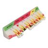 Dental Caries Model 6 Different Stages Resin Decayed Tooth Display Model