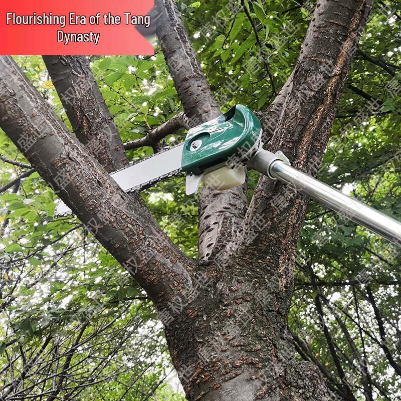 Tangquanshengshi Professional Gas-Powered Pole Saw and Training Equipment