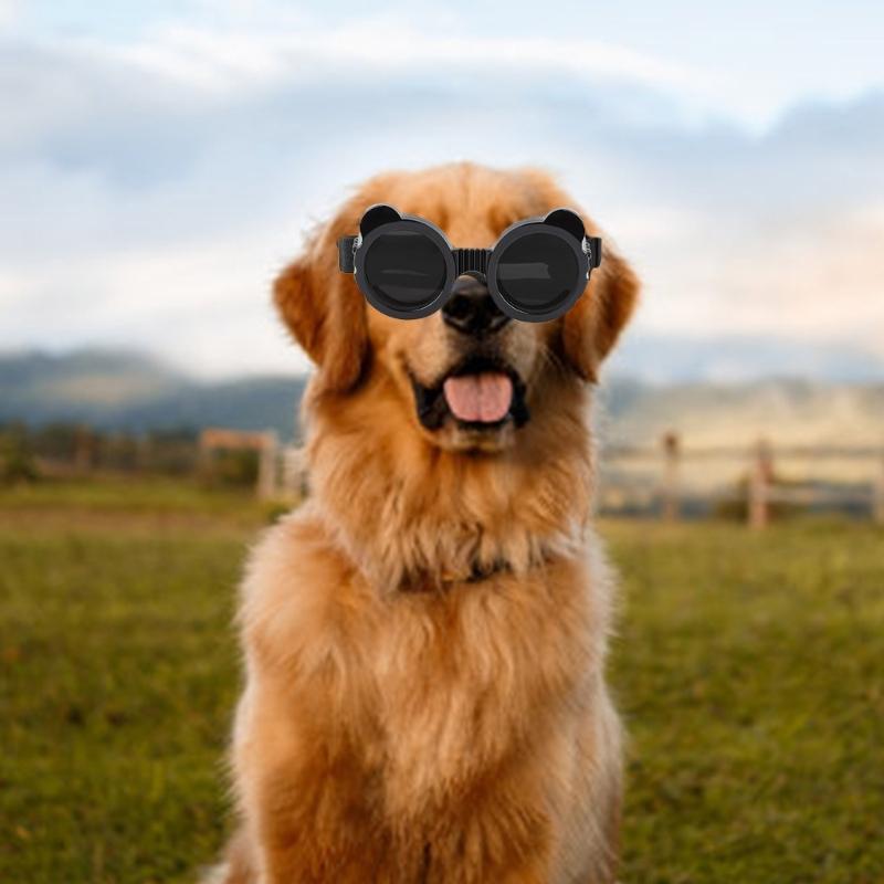 Dog Goggles for Medium Small Dog Waterproof Dog Sunglasses Windproof Goggles Adjust Pet Goggles