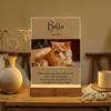 Personalized Custom Photo Pet Memorial Keepsake Sympathy Condolence Remembrance Gift In Loving Memory Of Beloved Dog Cat Meaning