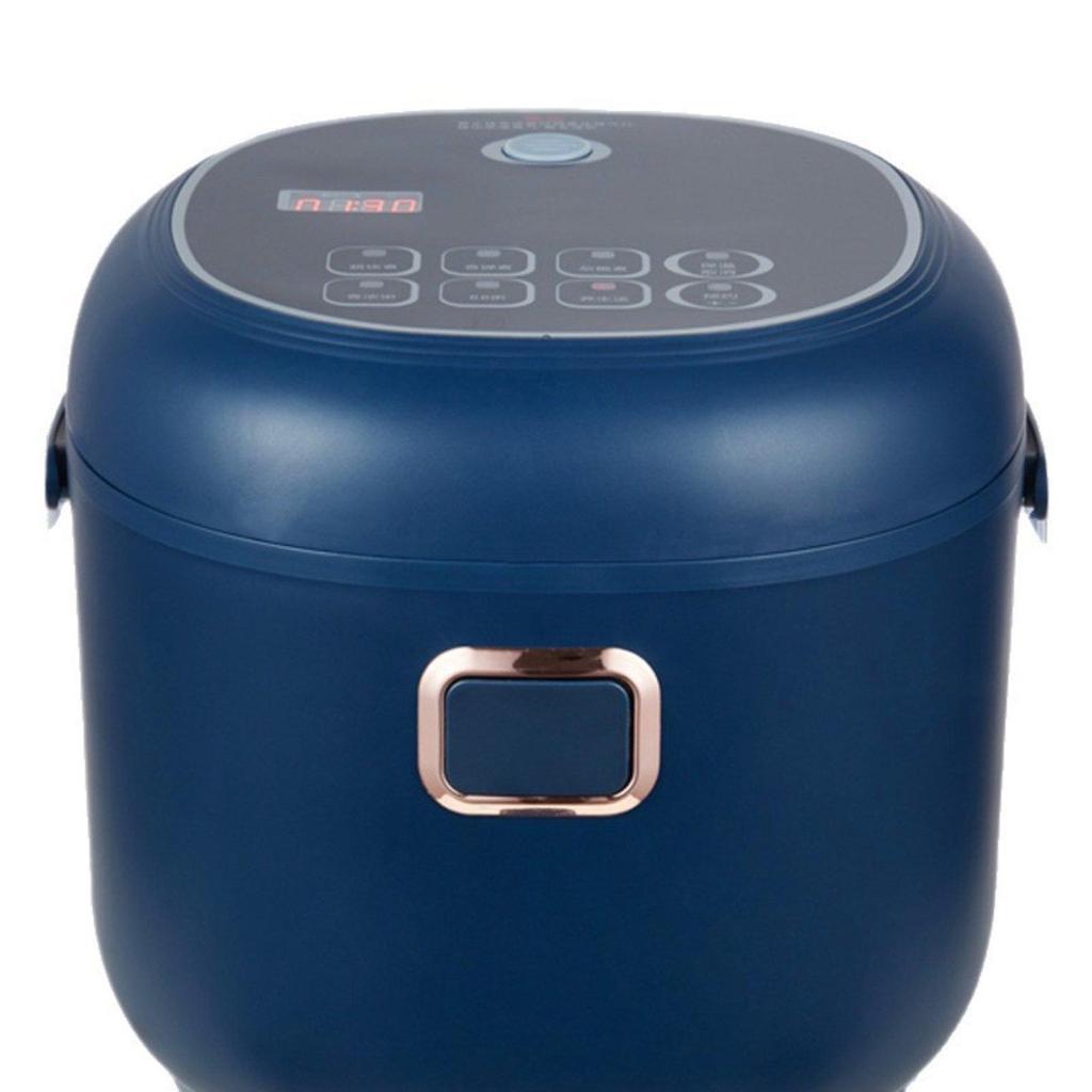 Piccolo Cuociriso da 2L per Auto/Camion Portatile Elettrico 12V/24V per Pranzo