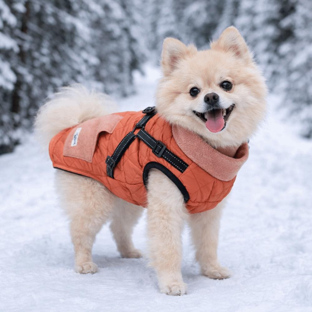 Reflective Winter Dog Jacket Adjustable Back Pet Down Coat Dog Cotton Jacket  Cold Weather
