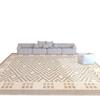 High-Grade Cream Loop Velvet Carpet: Non-Slip Living Room, Bedroom, Sofa, Coffee Table Mat