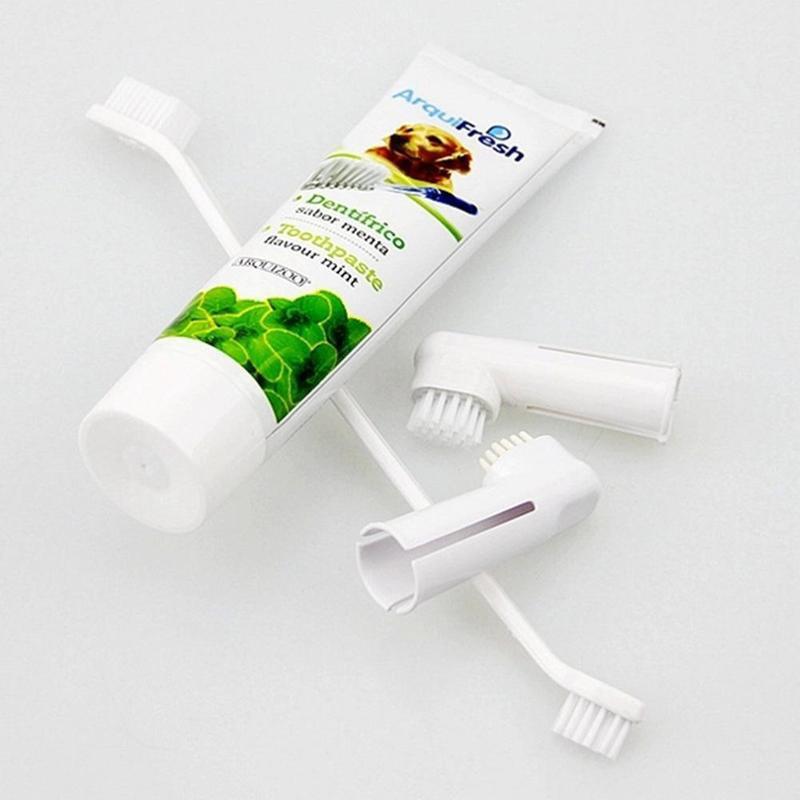 kitten toothbrush and toothpaste