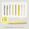 Iroha Publishing Pencil SUNNY FLAT PEN CASE Case, (misty Green) LSPM-04