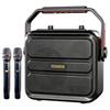 Malata M+9266 Portable Karaoke Bluetooth Speaker (CN Version)