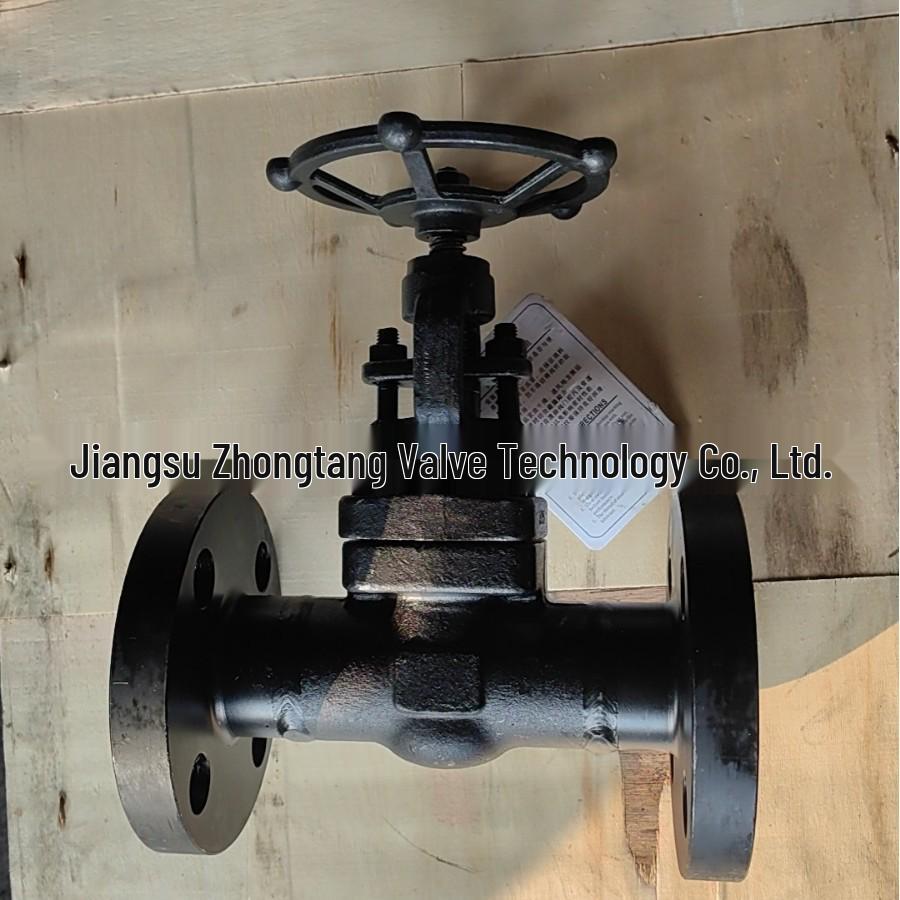 Z41Y-100C High Pressure A105 Forged Flange Gate Valve, Chemical Industry Standard.