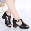 Women's Roman Style Peep Toe Sandals, Open Toe Block Heel Design for Comfortable Daily Casual Wear