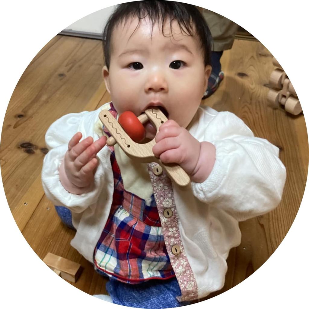 Cactus Japan Good Toy Award-winning Toy (wooden Toy, Also Suitable As a Pacifier or Teether! Rhythmic Instrument Rattle) Educational Toy, Car, Ranking