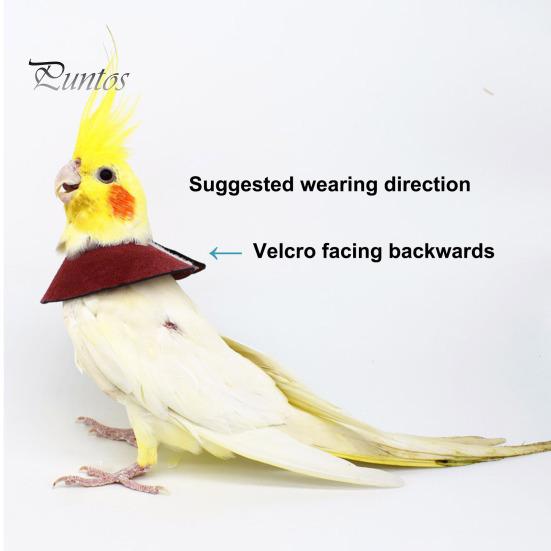 Adjustable Parrot Recovery Collar Anti-Biting Injury Protection Fastener Tape Fixing Bird Collar Pet Bird