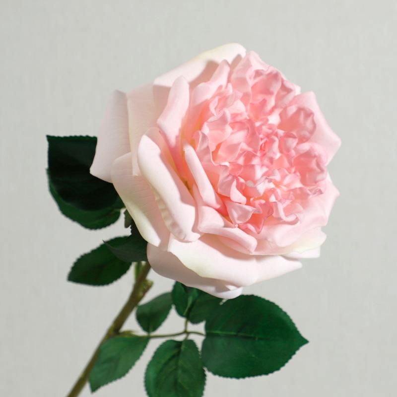 

Почувствуйте увлажнение Имитация цветка Остинская роза Украшение для стола в гостиной Декорация Искусственные цветы 65cm розовый