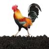 Stereoscopic Rooster Cards Acrylic Kid Toy Cute Inserting Cards  Yard Art