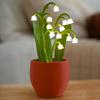 LED Lilies Night Whimsical Ambient Lighting For Bedrooms For Gifts