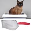 Hollow Out Comfortable Grip Fast Leak Small Holes Multifunctional Shovel Sand Hanging Hole