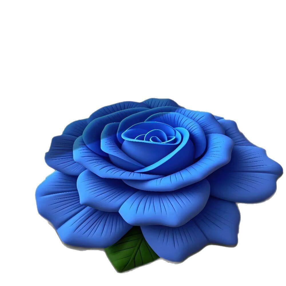3D Floral Floor Mats Bathroom Non Slip Floor Mats Living Room and Bedroom Dirt Resistant Carpets