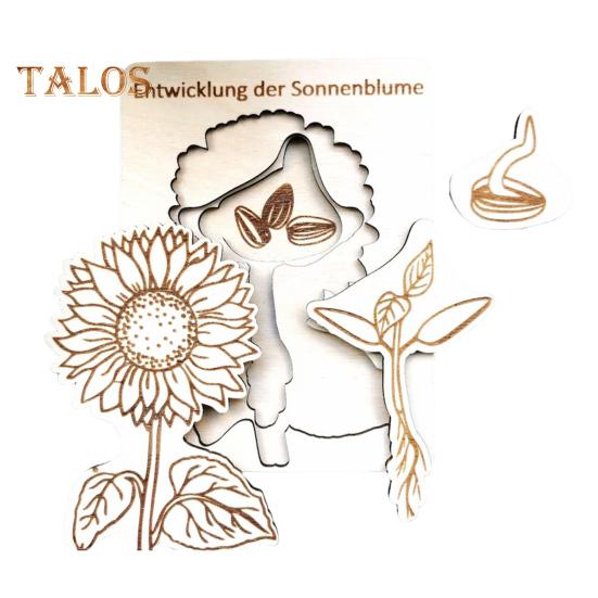 Holzpuzzle Lebenszyklus, mehrschichtiges Tier-Insekten-Pflanzenwachstums-Puzzle, Vorschul-Lernpuzzle, Spielzeug für Kinder, Jungen und Mädchen