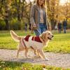 Cute Warm Dog Sweater Dress Cozy Bow Design Striped Dog Sweatshirt Knit Sweater Bow Yarn Skirt Autumn Winter