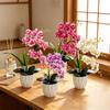 Artificial Orchid Potted Plants Fake Phalaenopsis In Plastic Pot Bonsai Plants Wedding Table Centerpiece Home Office Decoration