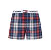 Боксеры Tommy Hilfiger UM0UM03849