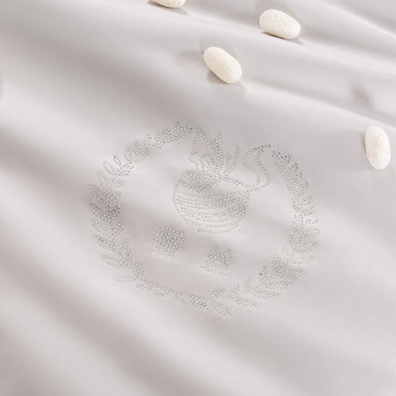 Muji Smooth Mulberry Silk Quilt