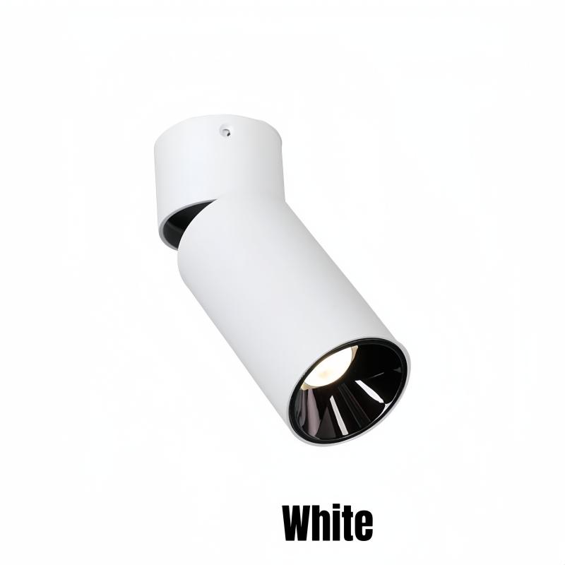 

Светодиодный потолочный светильник с регулируемой яркостью, 110 В, 220 В, вращающийся на 360 °, складной, алюминиевый, CRI97, вращающийся, точечный светильник 9W&Neutral Light белый