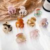 Acetate Pumpkin Grab Clip Small Hollow Out High Ponytail Fixed Artifact Hairpin Korean Style Hair Clips Retro Mini Hair Claw