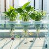 3D Printed Floating Aquarium Planting Basket Fish Plant Symbiosis Planter  Hydroponic System