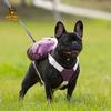 Portable Dog Backpack Carrier With Chest Harness Waterproof Travel Pet Small To Medium Dogs