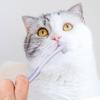 Pet Toothbrush Brush Addition Bad Breath Tartar Teeth Care Dog Cleaning Mouth Dog Care Supplies