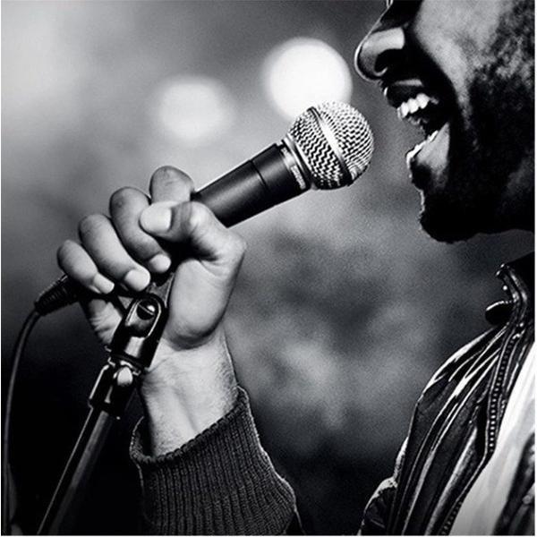 Upgrade LC Dynamic Instrument Microphone Professional Stage Recording Microphone