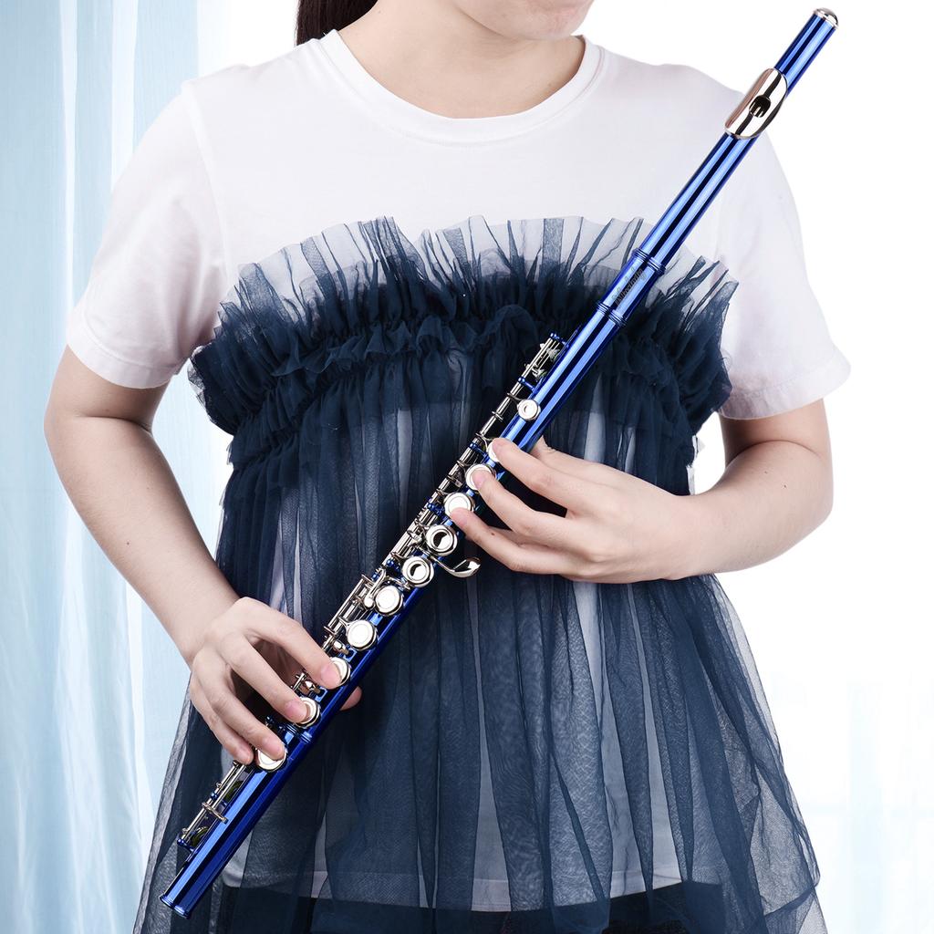 Closed Hole C Flute 16 Keys Cupronickel Nickel-plated Wind Instrument with Carry Case Flute Stand Gloves Cleaning Cloth Screwdriver Cleaning Rod