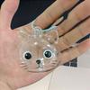 Transparenter Katzenhaar-Sammler Schlüsselanhänger Feline Fell-Aufbewahrungsbox Kreativer Haustierhaar-Halter Hängendes Zubehör für Katzenbesitzer