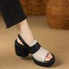 Fashion Open Toe Platform Block Heel Sandals Women's 2025 Summer New Comfortable and Versatile Platform One Buckle High Heels