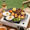 Barbecue en kebab – Grillroosters