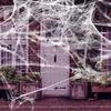 DIY Props Halloween Artificial Spider Web Gothic Style Scary Spider Web Decor Kit Party Supplies