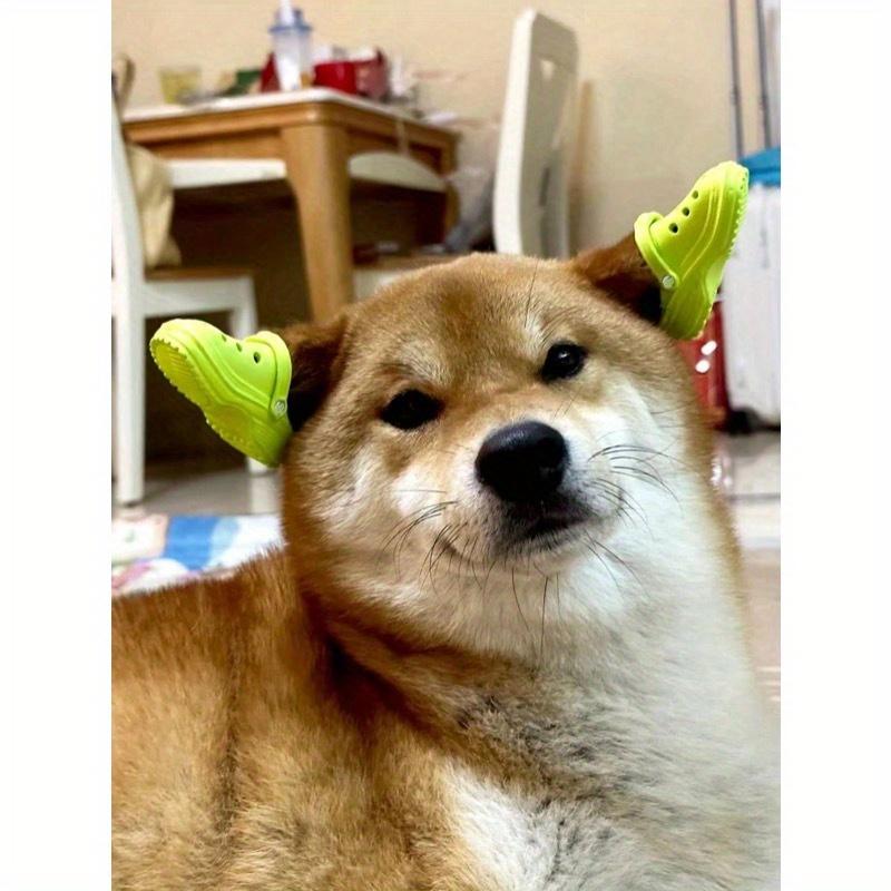 2pcs/1pair Mini Porous Shoes Classic Design Cats And Dogs Pet Photography Accessories Cute And Fun Toys For Small Pets Puppy Shoes Cartoon