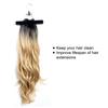 Hair Extensions Holder Portable Professionally Designed Wig Hanger Holder for Store Hair Black